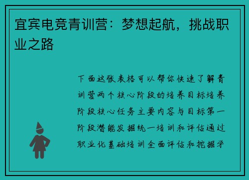 宜宾电竞青训营：梦想起航，挑战职业之路
